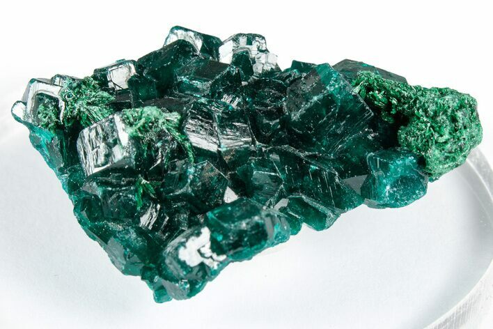 Sparkly Emerald-Green Dioptase With Malachite - Congo #347850